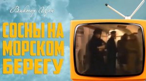 КИНО -  Сосны на морском берегу 12_22