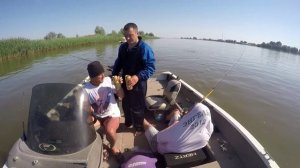 Троллинг щуки и судака на в Астраханской области около раскатов. Рыбалка на Волге 2017 Серия 6
