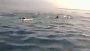 Абхазия Цандрипш Морская рыбалка с Дато 12.09.15