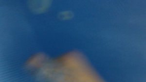 Тренировочка в Юна аква лайф