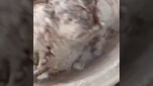 Печенье Зерна кофе