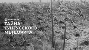 Тайна Тунгусского метеорита