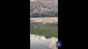 Вот это да. #Shorts