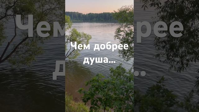 Чем добрее душа… #мудрость #цитаты #ecowisdom