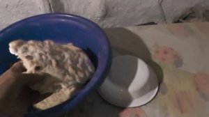 Приехала с батюшкой Галина Загуляева.  Общение любви во Христе Иисусе, Господне нашем.  29. 09. 201