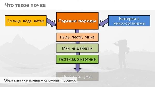 4/1 Образование почв и их разнообразие