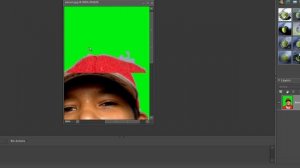 Photoshop Elements: How To Convert A Picture To Green Screen.