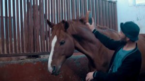 Qodirxon (milliy serial 66-qism) | Кодирхон (миллий сериал 66-кисм)