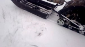 Мотобуксировщик алабай