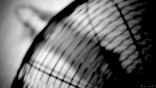 Съемка в студии: Кристина Насацкая смотреть онлайн