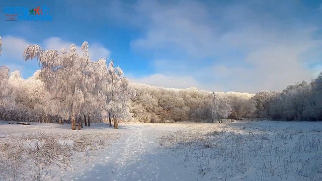 Оставь след в уходящем 2020 году смотреть онлайн