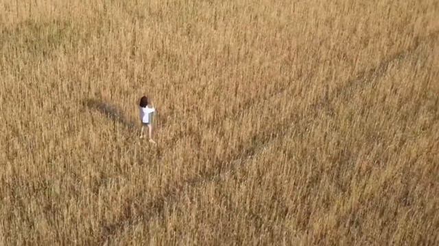 OINAMAQO - NINETY ONE violin cover - Assel Mekebayeva смотреть онлайн