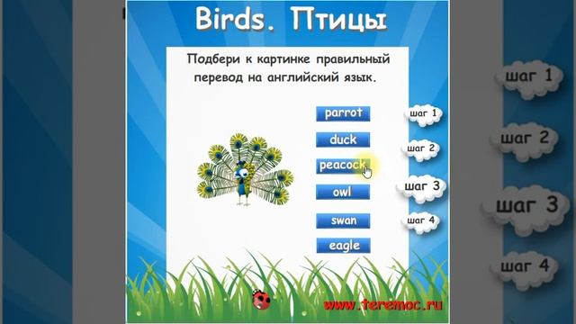 Учим английские слова. Тема : "Птицы. Birds." Learning English words. The topic "Birds"