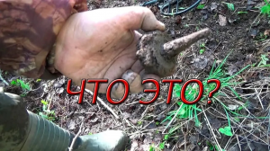 Странные находки на старом прииске!