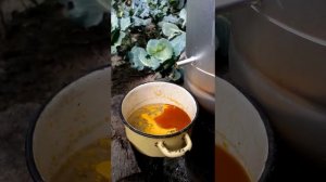 Воскотопка из соковарки ч.1