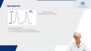 Нормальная физиология. Физиология сердечно-сосудистой системы. Свойства сердечной мышцы. Часть 1