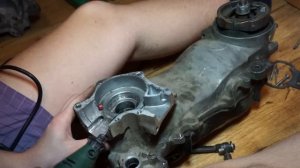 Из Dio в HI-per! Запил картера.#2