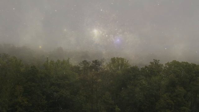 истины от Будды. Как научиться контролировать себя и свою судьбу смотреть онлайн