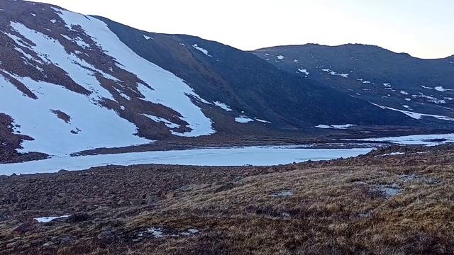 Стадо северных домашних оленей на подъеме / Полярный Урал смотреть онлайн