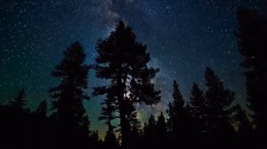 Звездное небо в лесу HD — Бесплатный футаж / Footage.