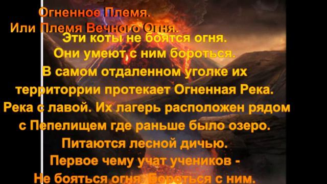 Мои Коты-Воители. Знакомьтесь - Новые Племена!!! смотреть онлайн