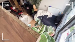 AHMET CAN DÜNDAR 'IN KEDİSİNİ KAÇIRDIM !!!! @AhmetCanDundar @siladundar1