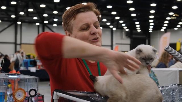 ЗООШОУ| Выставка животных 2023 смотреть онлайн