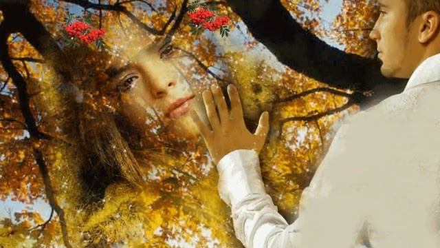 Тонкая рябина .Красивая песня .#дляпозитива#песняолюбви#