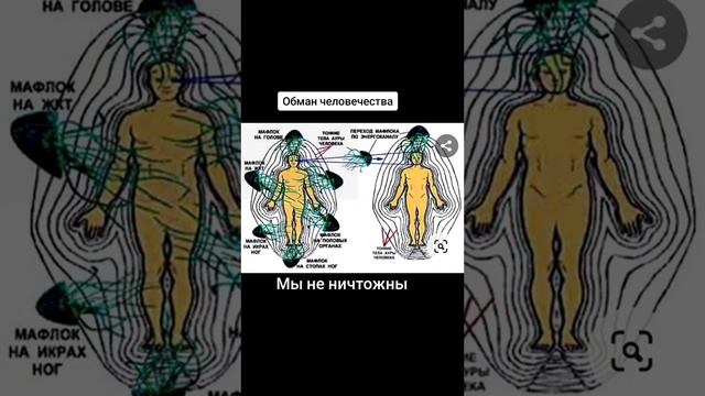 Лярвы.Что управляет человеком?