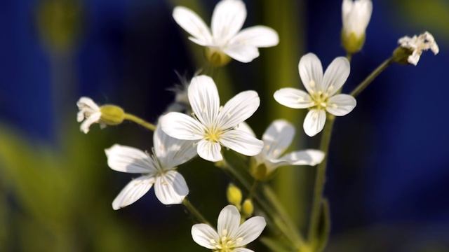 Евангелие дня. Чтимые святые дня. Cвт. Афана́сия (Сахарова) исп., епископа Ковровского. (28.10.2020 смотреть онлайн
