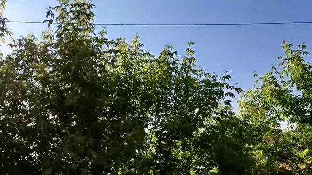 Полное расслабление за 8 минут | Daily vlog | Relax Time | Cleaning #vlog #cleaning #relaxing ? смотреть онлайн