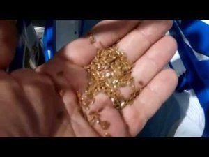 Очистка зерна ЛЁН Сепаратор САД-4
