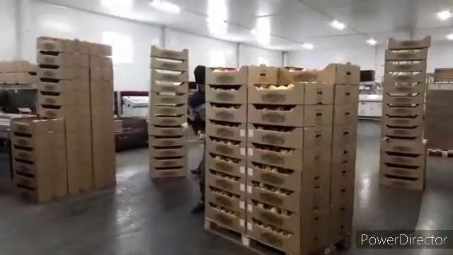 Новая мойка хани крисп SD 360p смотреть онлайн