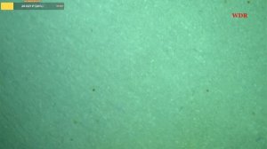 Iphone XR привязываем новый шлейф