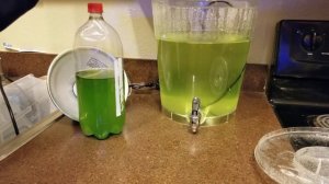 How to make Phytoplankton