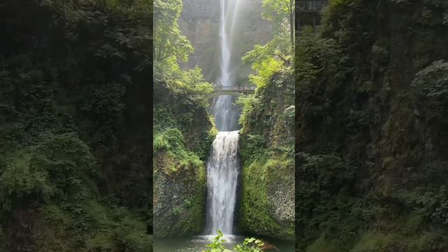 Amazon waterfall river brge| relaxing sounds HD 4k ULTRA