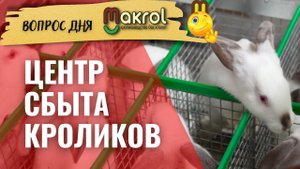 №114 ?Закуп кроликов в Уральском Федеральном Округе.mp4