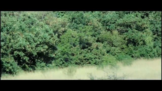 Bulgaria.Поход в горы Болгарии Стара Планина.(Святой Влас-Елените)