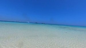 INSTA360: БЕЛЫЙ ОСТРОВ. КРАСНОЕ МОРЕ. ШАРМ-ЭЛЬ-ШЕЙХ. ЕГИПЕТ 🇪🇬
