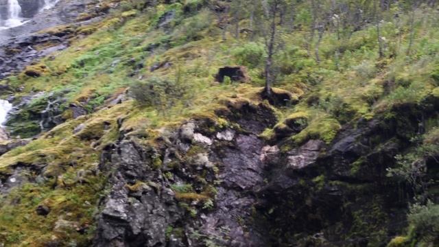 Kjosfossen - The Signature Waterfall of the Flam Railway смотреть онлайн