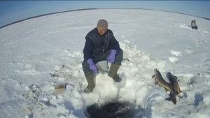 Якутия, зимняя рыбалка на щук... Творческая студия Владимира.