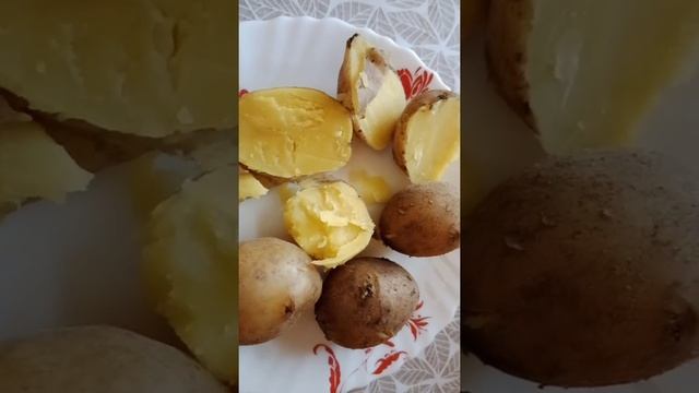 Картофель семенной.Купили два сорта.КОЛОМБО и ГАЛА.Пробуем на ВКУС.