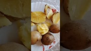 Картофель семенной.Купили два сорта.КОЛОМБО и ГАЛА.Пробуем на ВКУС.