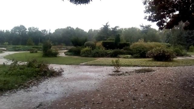 Ботанический Сад г. Симферополя дождливым субботним утром.