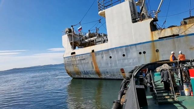 Залив Тихого океана у юго-восточного берега полуострова Камчатка. смотреть онлайн