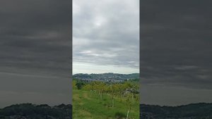 Персиковый сад в пос. Вардане