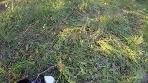 ОБЗОР вейдерсов Vision, kura порвались по шву после 3 месяцев эксплуатации(((