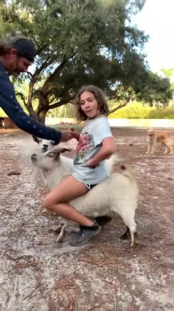 Autumn our Pygmy goat giving Cali girl a goat ride lol