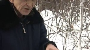 Защита сада от мышей. Урожайные грядки.