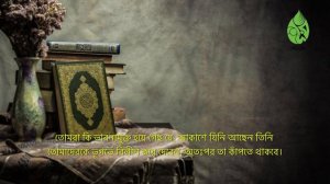 Surah Al-Mulk [67] | Bangla Translation of Quran | সুরা মূলক । Quran Shareef | noor (Light of Islam
